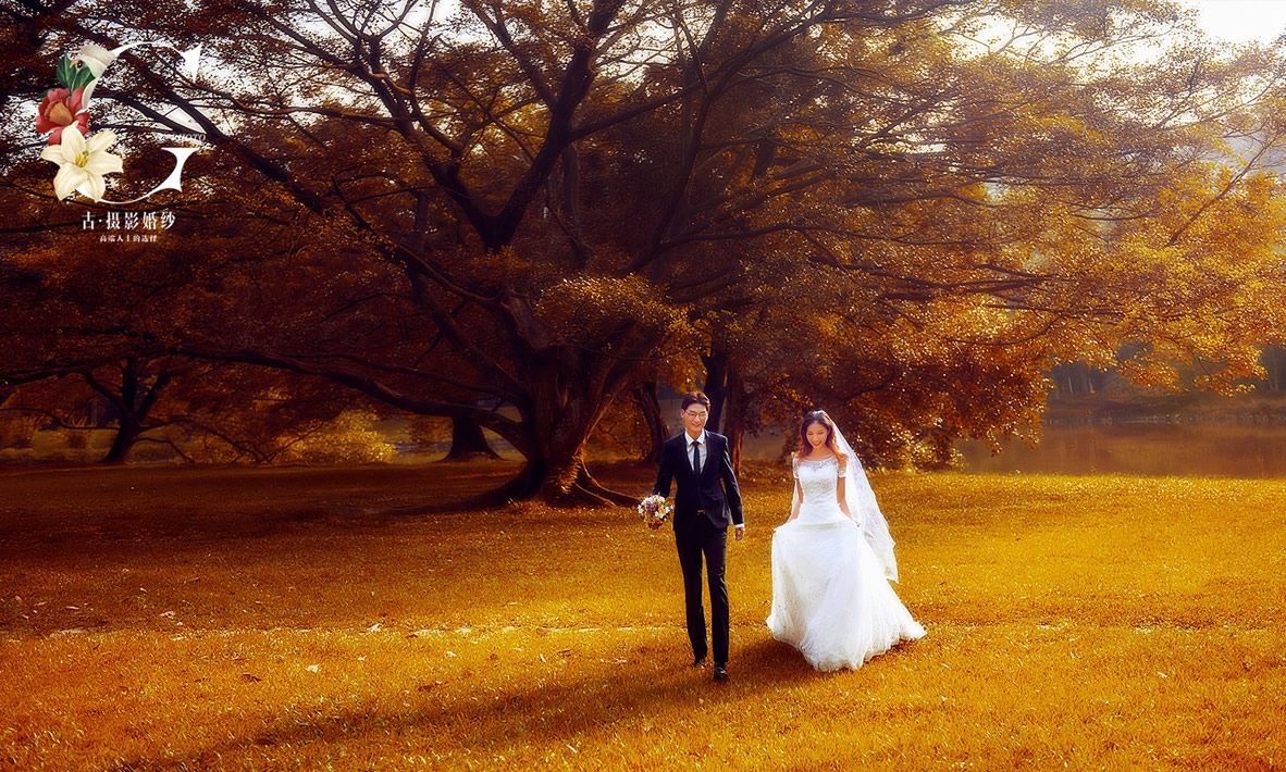 华南植物园【童话森林】 - 拍摄地 - 广州婚纱摄影-广州古摄影官网